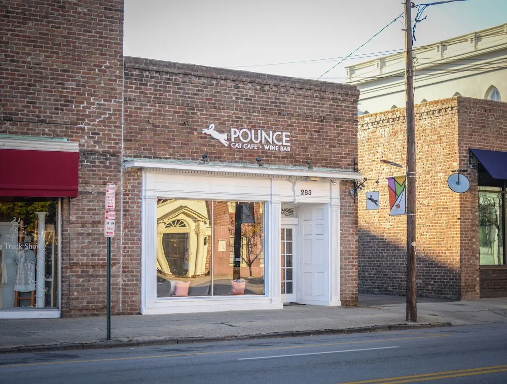 Pounce Cat Cafe + Wine Bar cat cafe in Charleston - interior