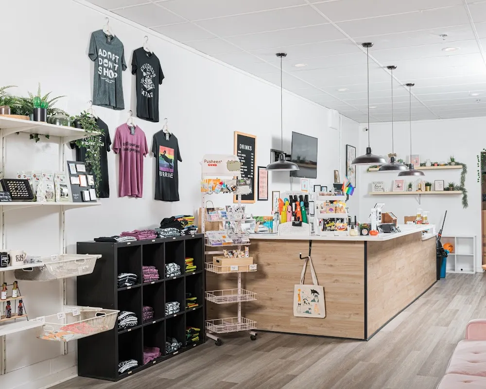 Pounce Cat Cafe cat cafe in Savannah - interior