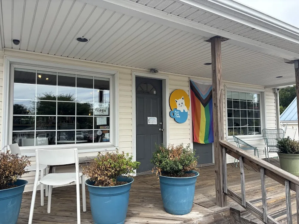 Purr Cup Cafe cat cafe in Raleigh - atmosphere
