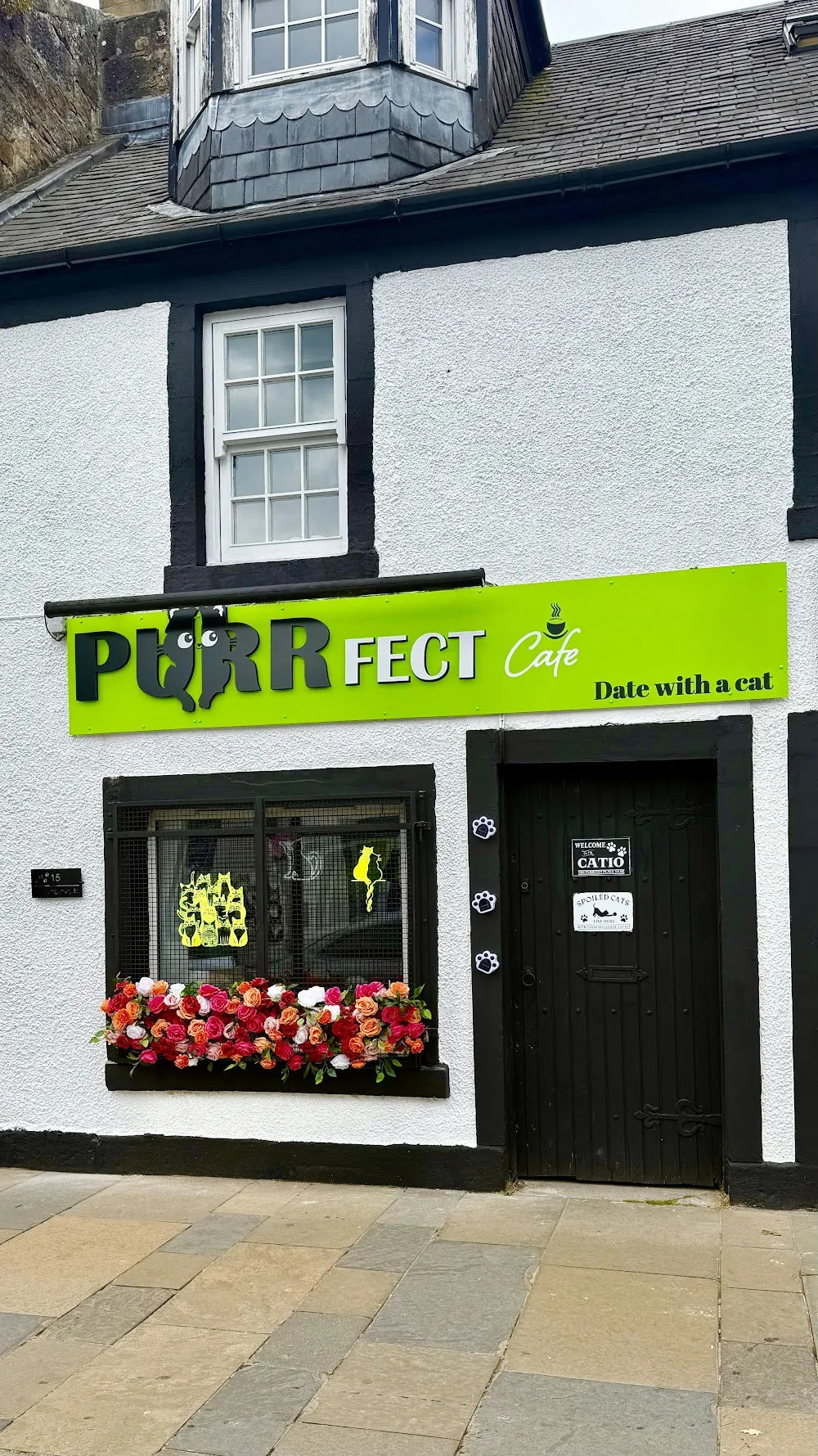 Purrfect Cafe cat cafe in East Kilbride - interior