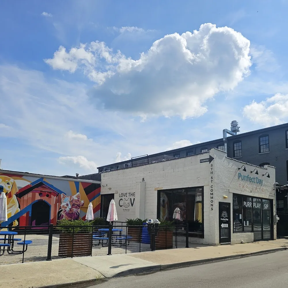 Purrfect Day Cat Café cat cafe in Covington - interior