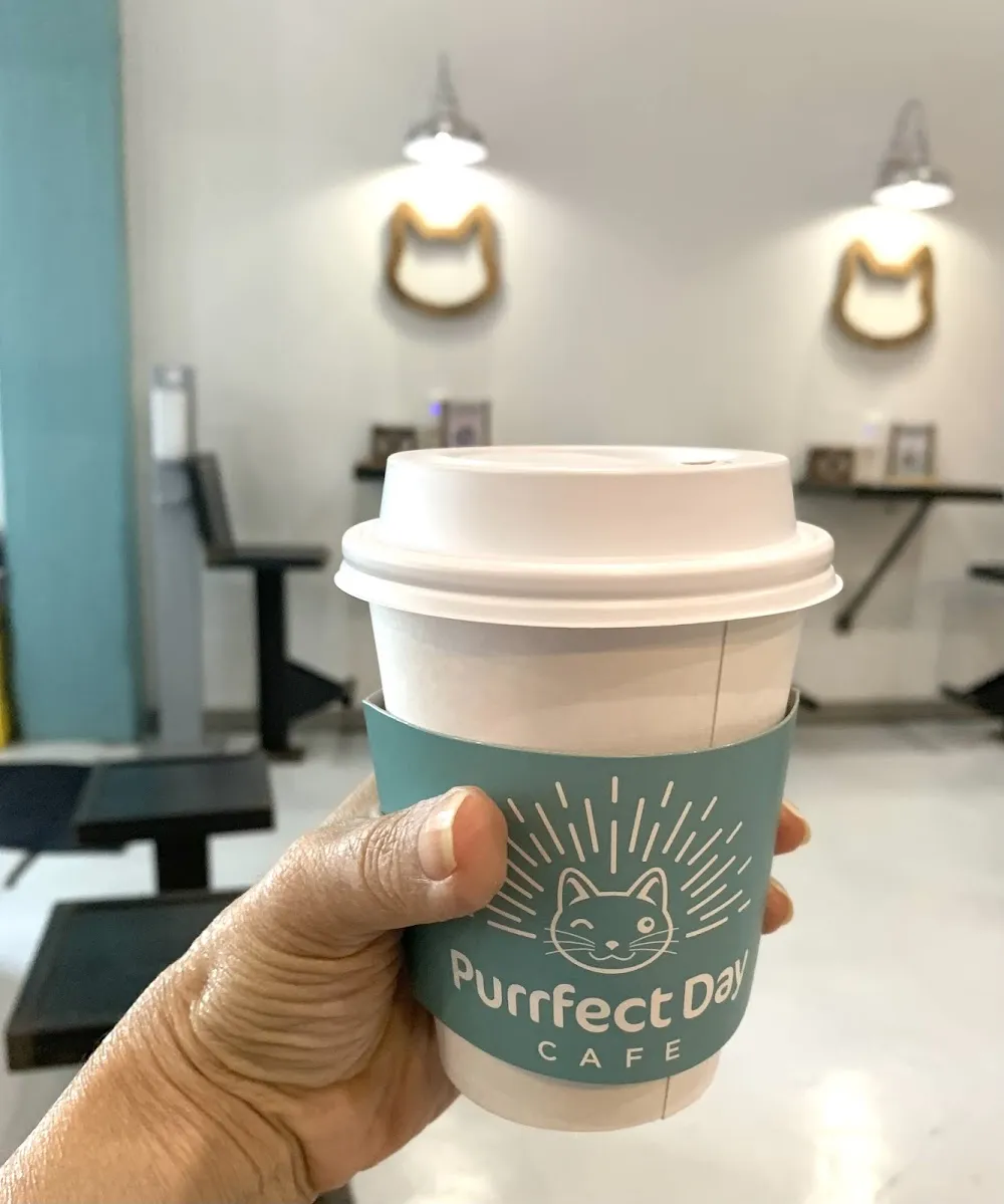 Purrfect Day Cat Café cat cafe in Covington - cats