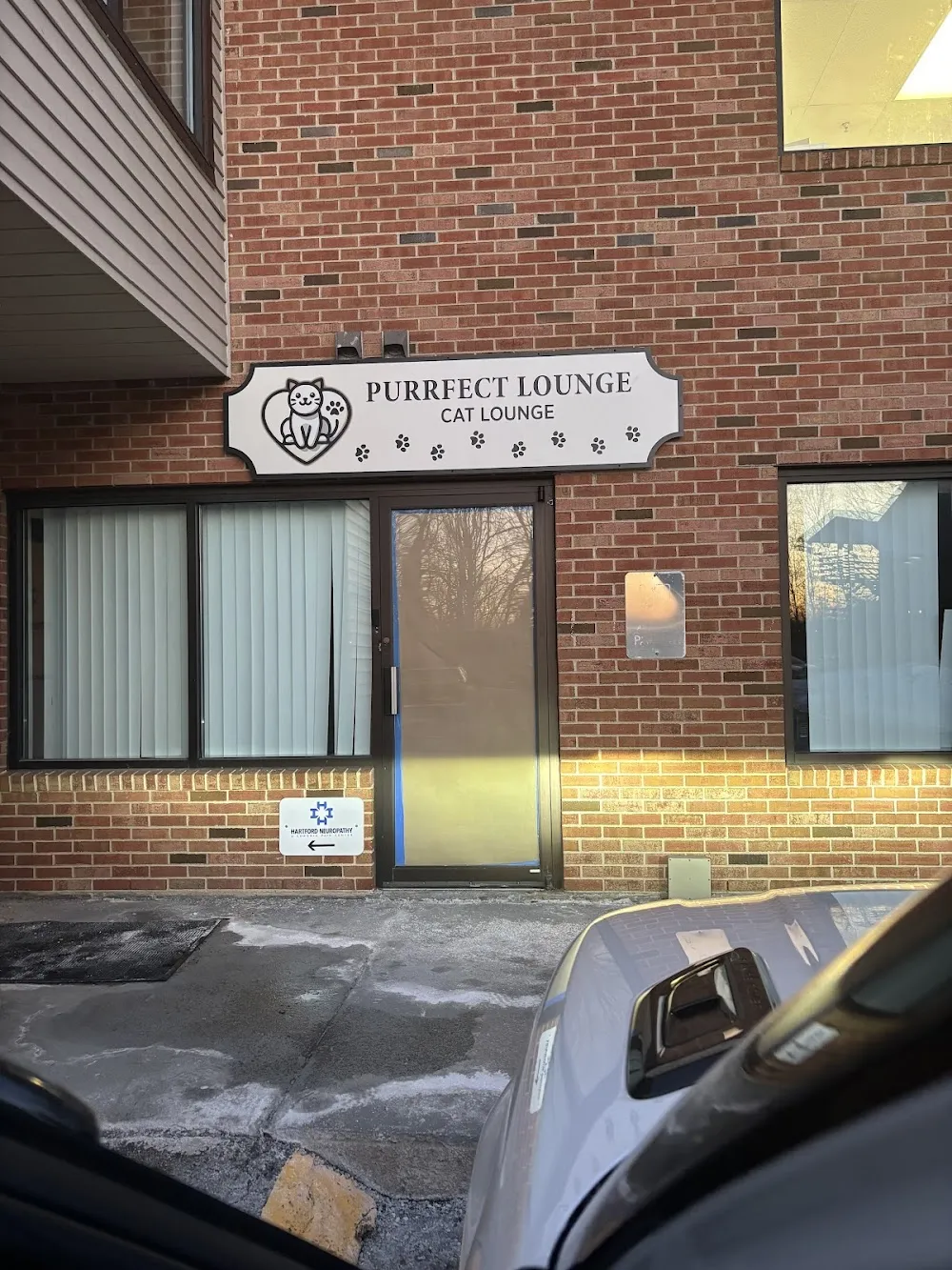 Purrfect Lounge cat cafe in Plainville - interior