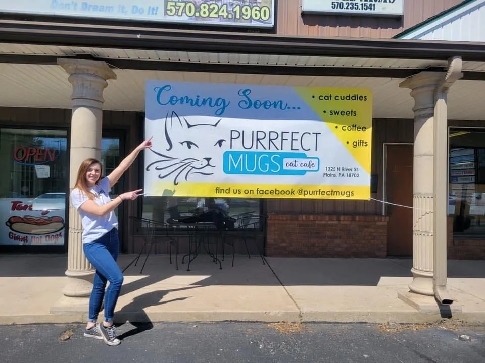 Purrfect Mugs Cat Cafe cat cafe in Hilldale - interior