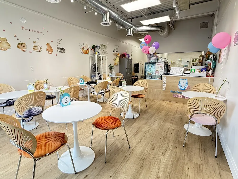 Purrfect Pet Cafe 圆滚滚猫咖 cat cafe in Vaughan - interior