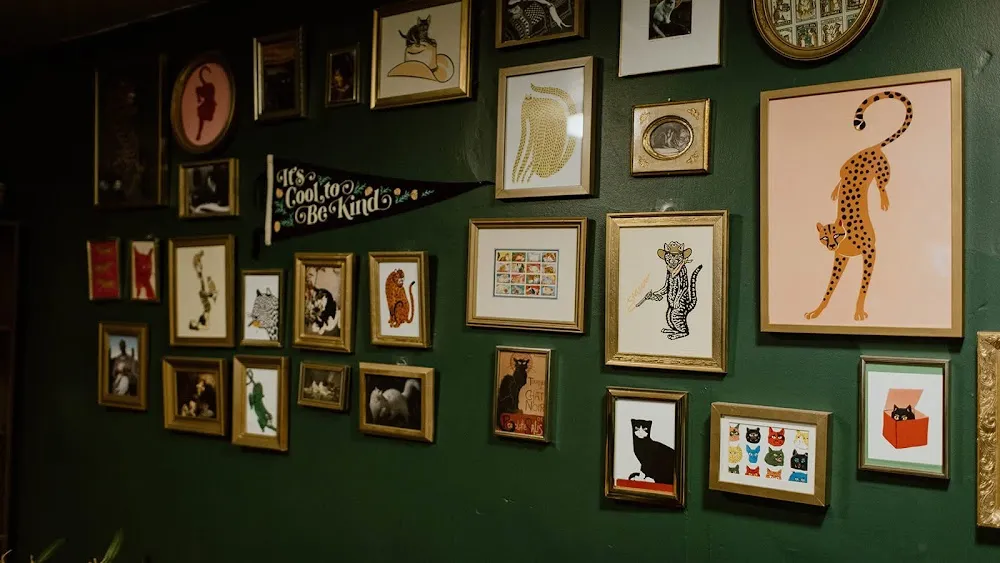 Purrista Cat Cafe cat cafe in Erie - atmosphere