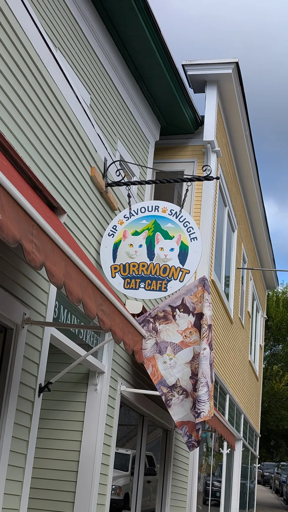 Purrmont Cat Cafe LLC cat cafe in Springfield - interior