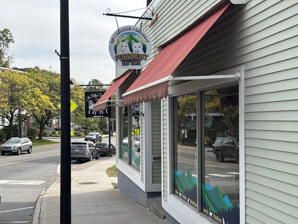 Purrmont Cat Cafe LLC cat cafe in Springfield - cats