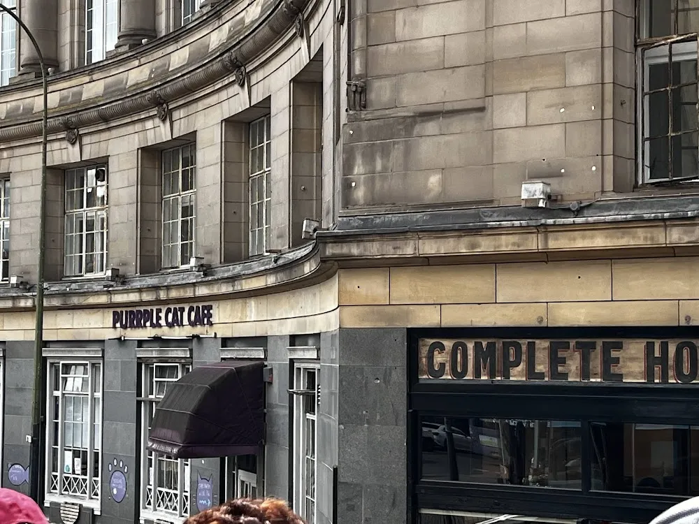Purrple Cat Cafe cat cafe in Glasgow - interior