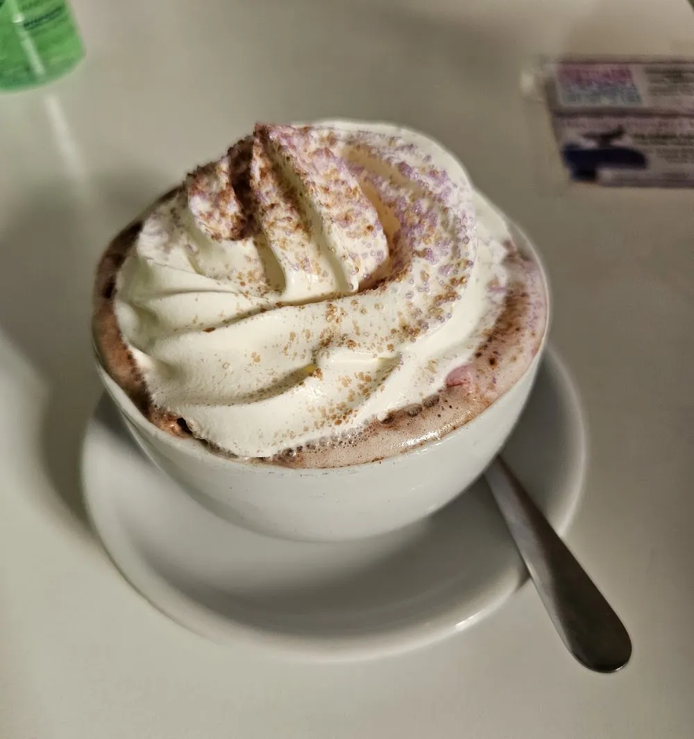 Purrple Cat Cafe cat cafe in Glasgow - cats