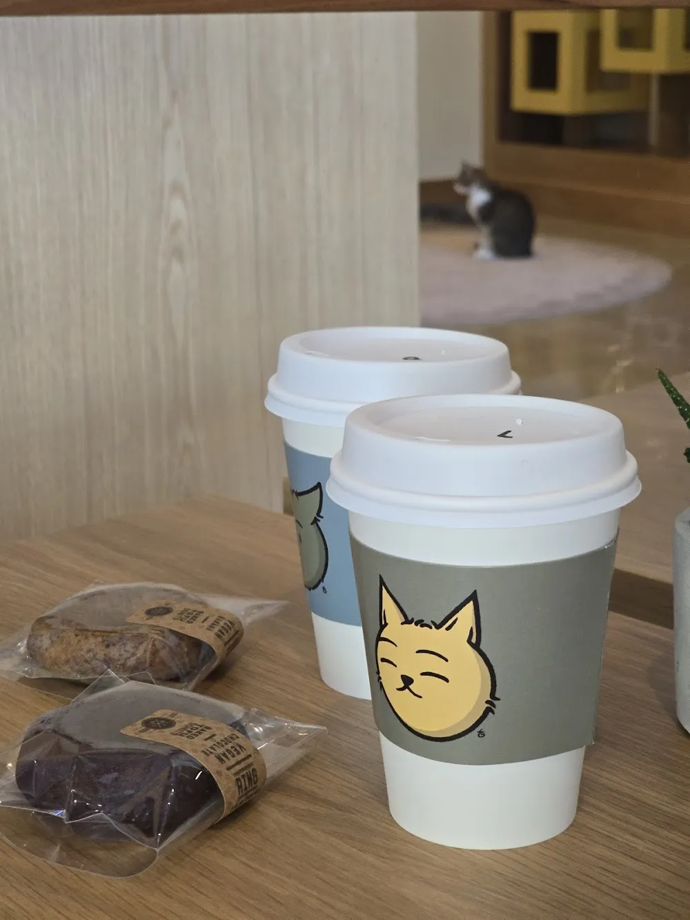 Purrrlandia Cat Lounge & Cafe cat cafe in Thousand Oaks - cats