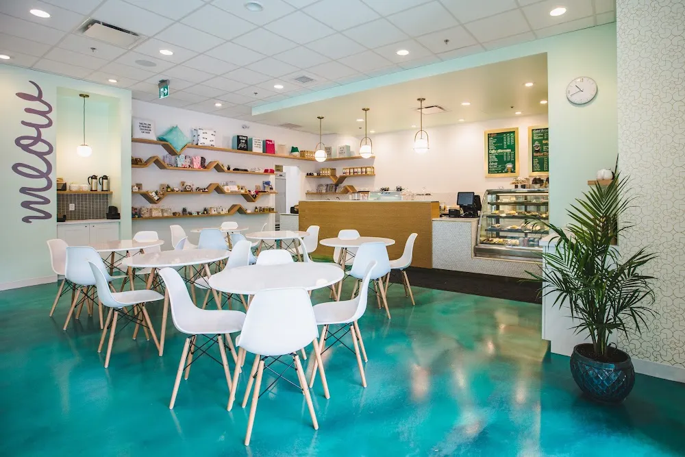 Regal Cat Cafe cat cafe in Calgary - interior