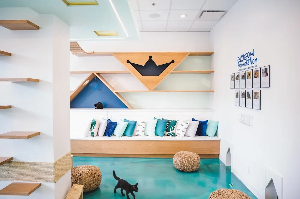 Regal Cat Cafe cat cafe in Calgary - atmosphere