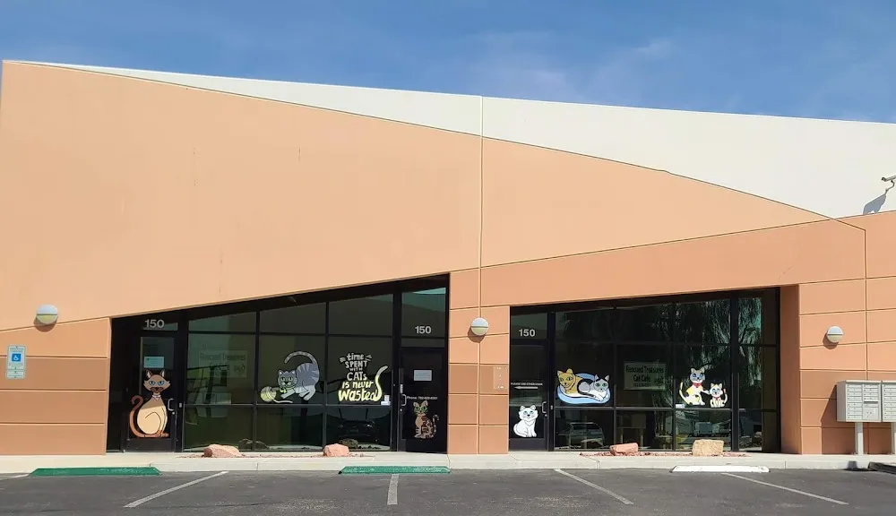 Rescued Treasures Cat Cafe by PALnv cat cafe in Las Vegas - interior