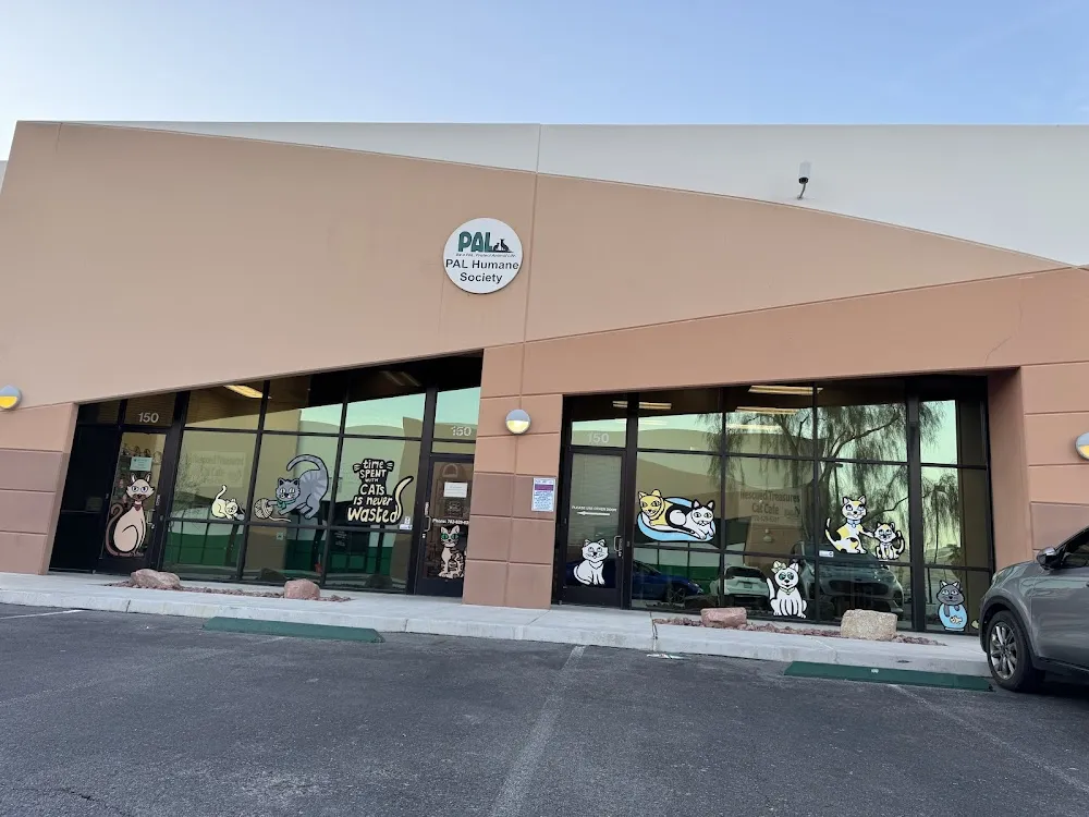 Rescued Treasures Cat Cafe by PALnv cat cafe in Las Vegas - cats