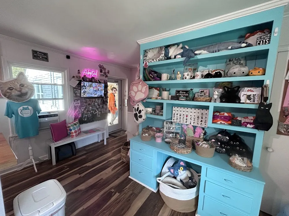 Right Meow Cat Cafe cat cafe in Fuquay-Varina - interior