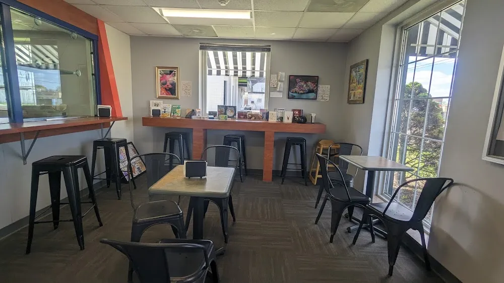 River Kitty Cafe cat cafe in Peoria - interior