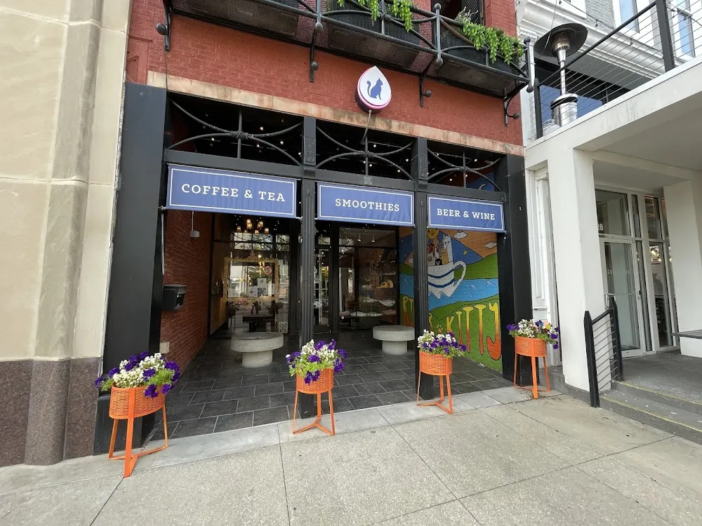 River Kitty Cat Cafe cat cafe in Evansville - interior