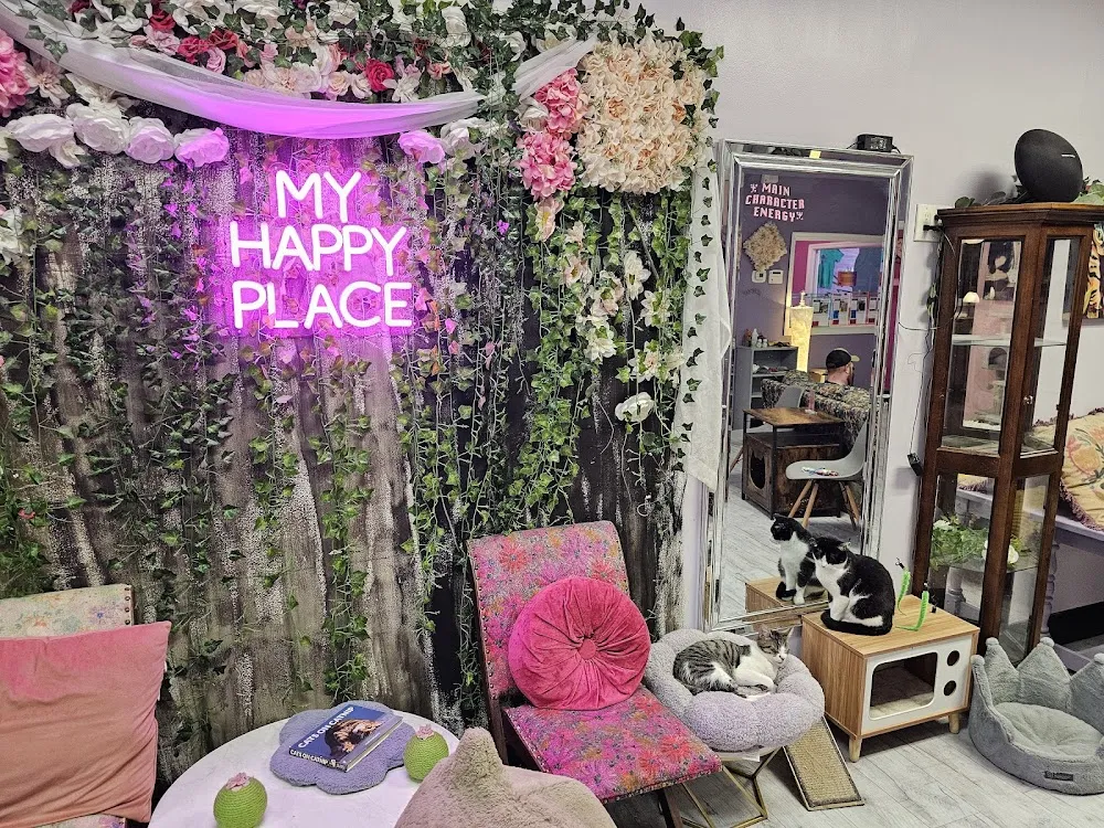 Scruffy's Cafe cat cafe in Knoxville - atmosphere