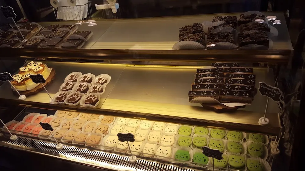 Seattle Meowtropolitan cat cafe in Seattle - interior