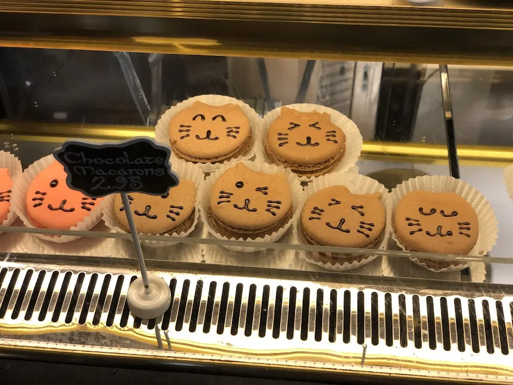 Seattle Meowtropolitan cat cafe in Seattle - cats