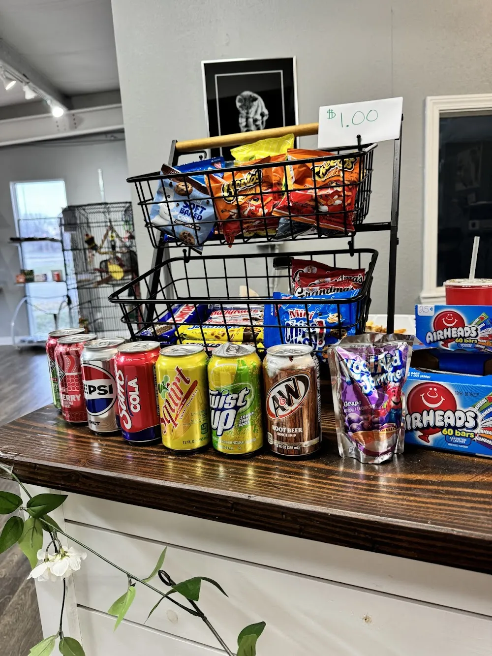 Second Cup Cat Cafe cat cafe in Shawnee - interior