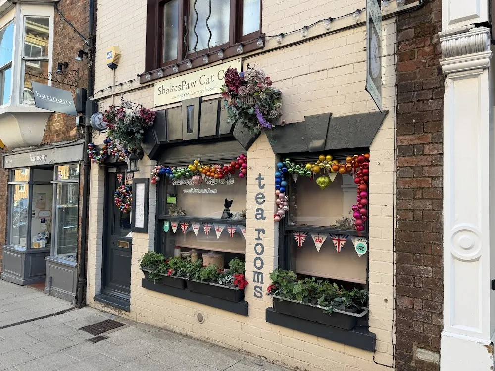 Shakespaw Cat Cafe. cat cafe in Stratford-upon-Avon - cats