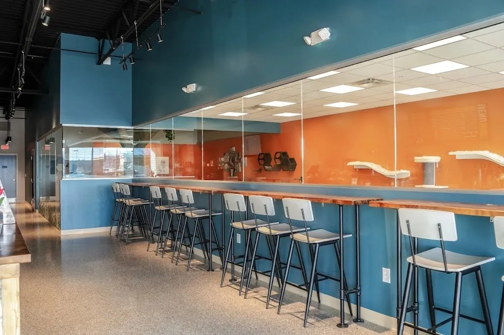 Smitten Kitten Cat Cafe and Coffee Shop cat cafe in Fishers - interior