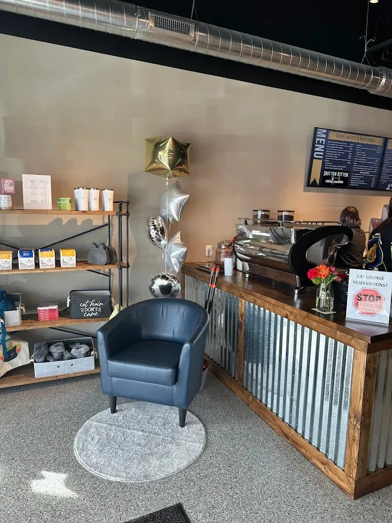 Smitten Kitten Cat Cafe and Coffee Shop cat cafe in Fishers - atmosphere
