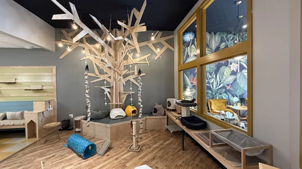 Snick's Cat Cafe cat cafe in Wichita - interior