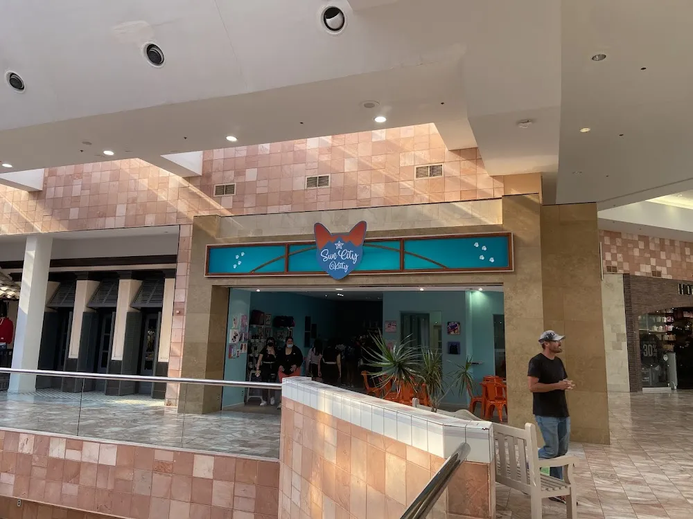 Sun City Kitty cat cafe in El Paso - interior