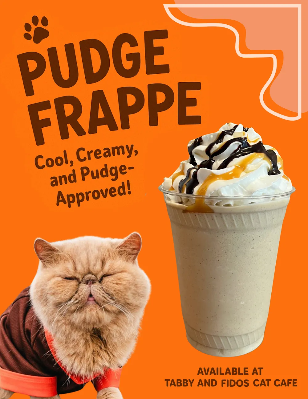 Tabby & Fidos Cat Cafe cat cafe in Bowling Green - cats