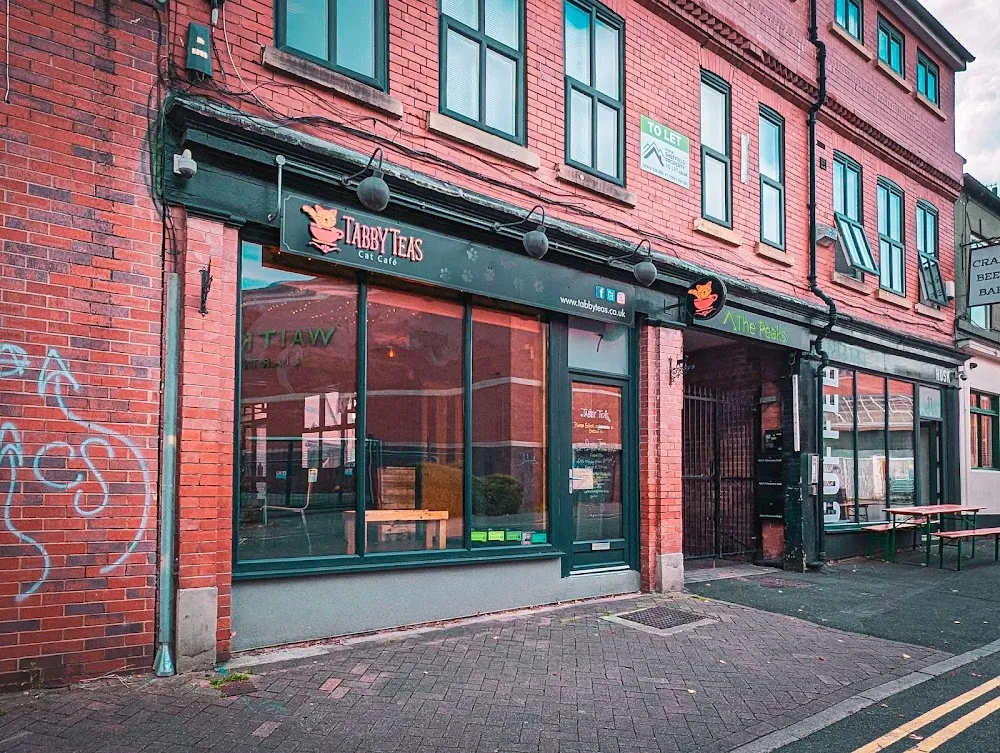 Tabby Teas cat cafe in Sheffield - interior