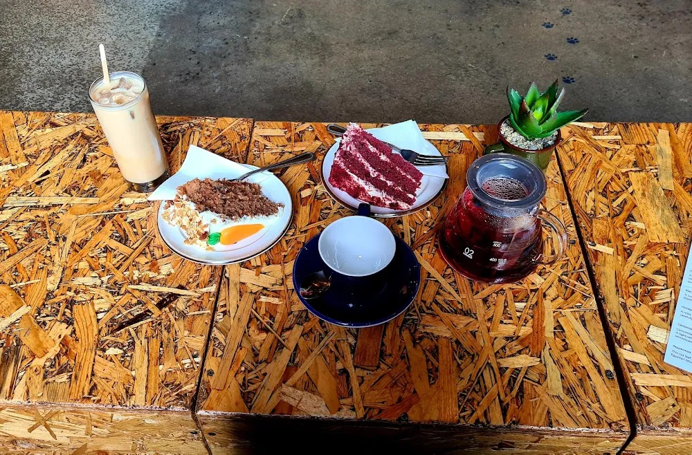 Tabby Teas cat cafe in Sheffield - cats