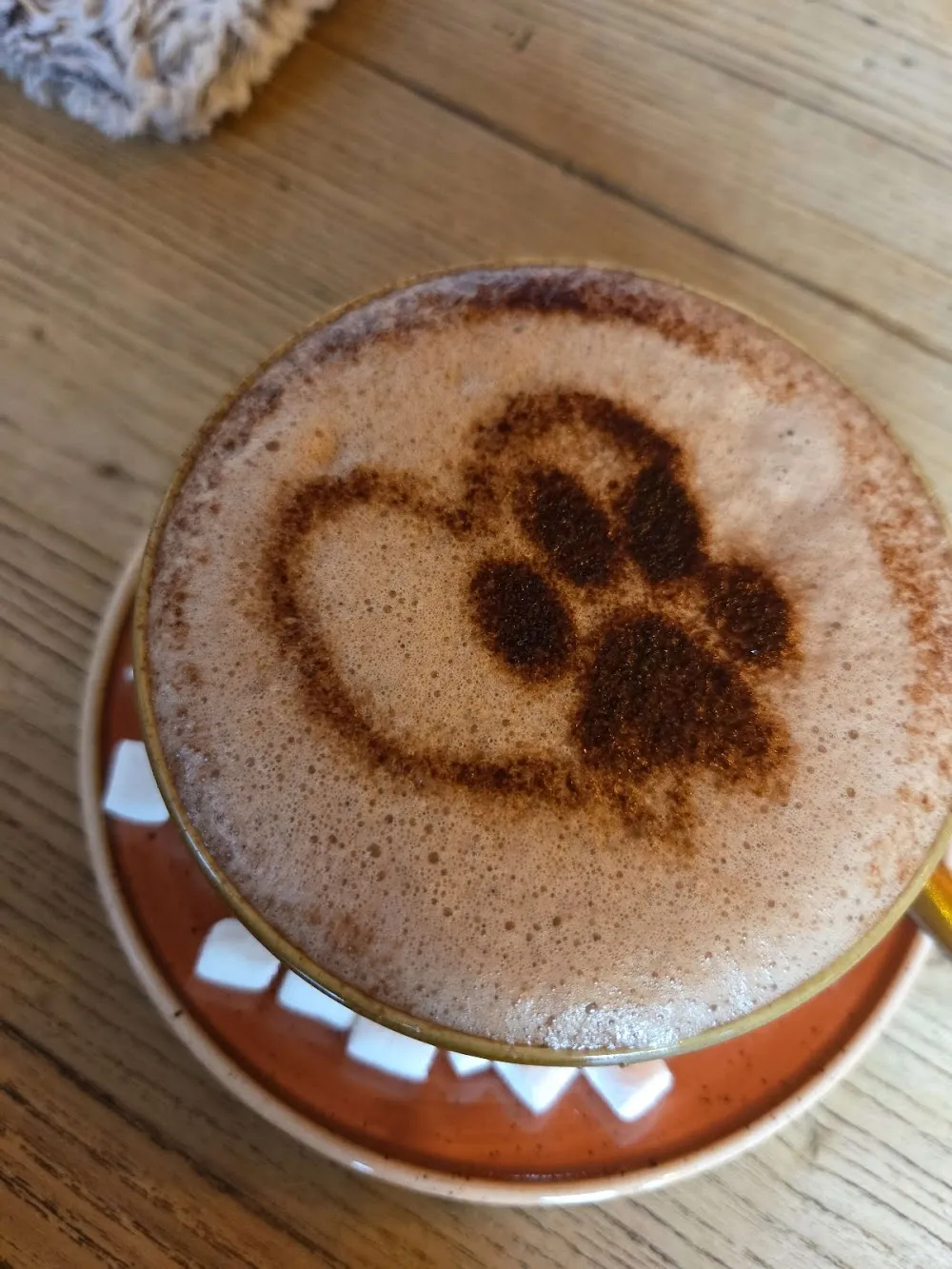 Tabby Teas cat cafe in Sheffield - atmosphere