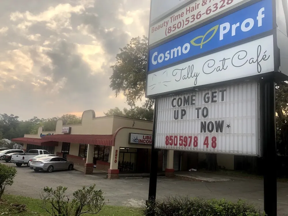 Tally Cat Cafe cat cafe in Tallahassee - interior