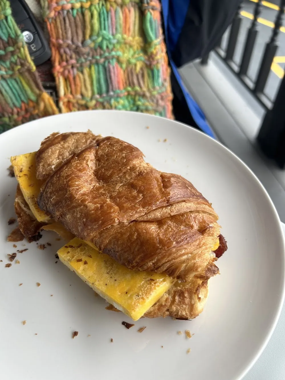 The Alaska Cat Cafe cat cafe in Wasilla - cats