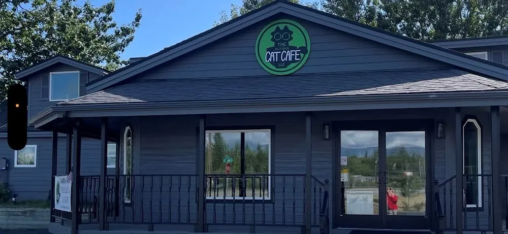 The Alaska Cat Cafe cat cafe in Wasilla - atmosphere