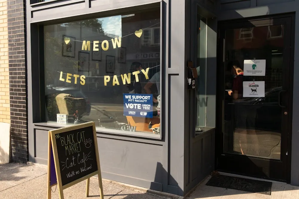 The Black Cat Market cat cafe in Pittsburgh - interior