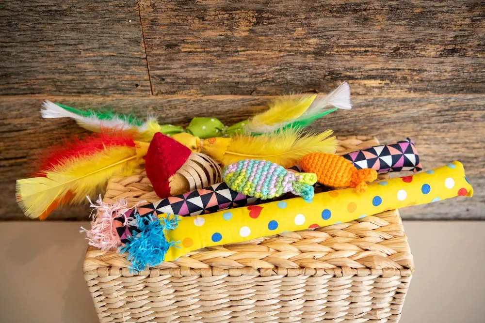 The Cafe Meow cat cafe in Roseville - cats