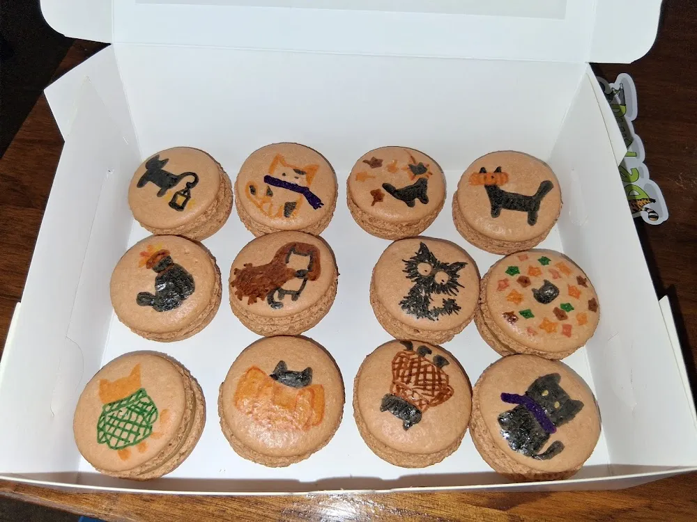 The Cafe Meow cat cafe in New Hope - cats