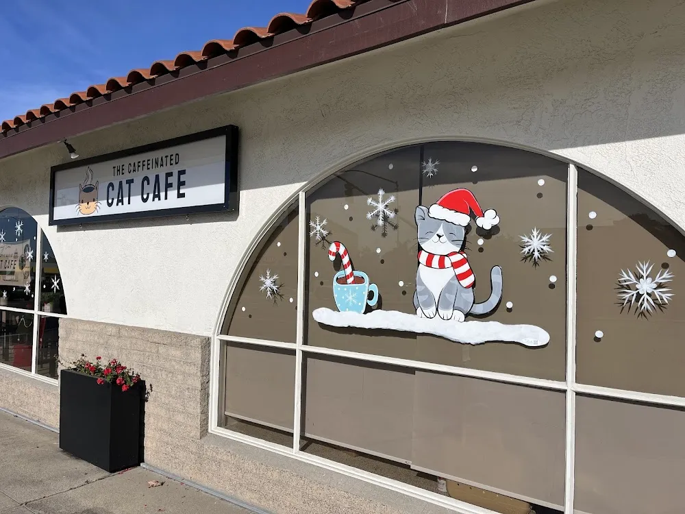 The Caffeinated Cat Cafe cat cafe in Grover Beach - interior