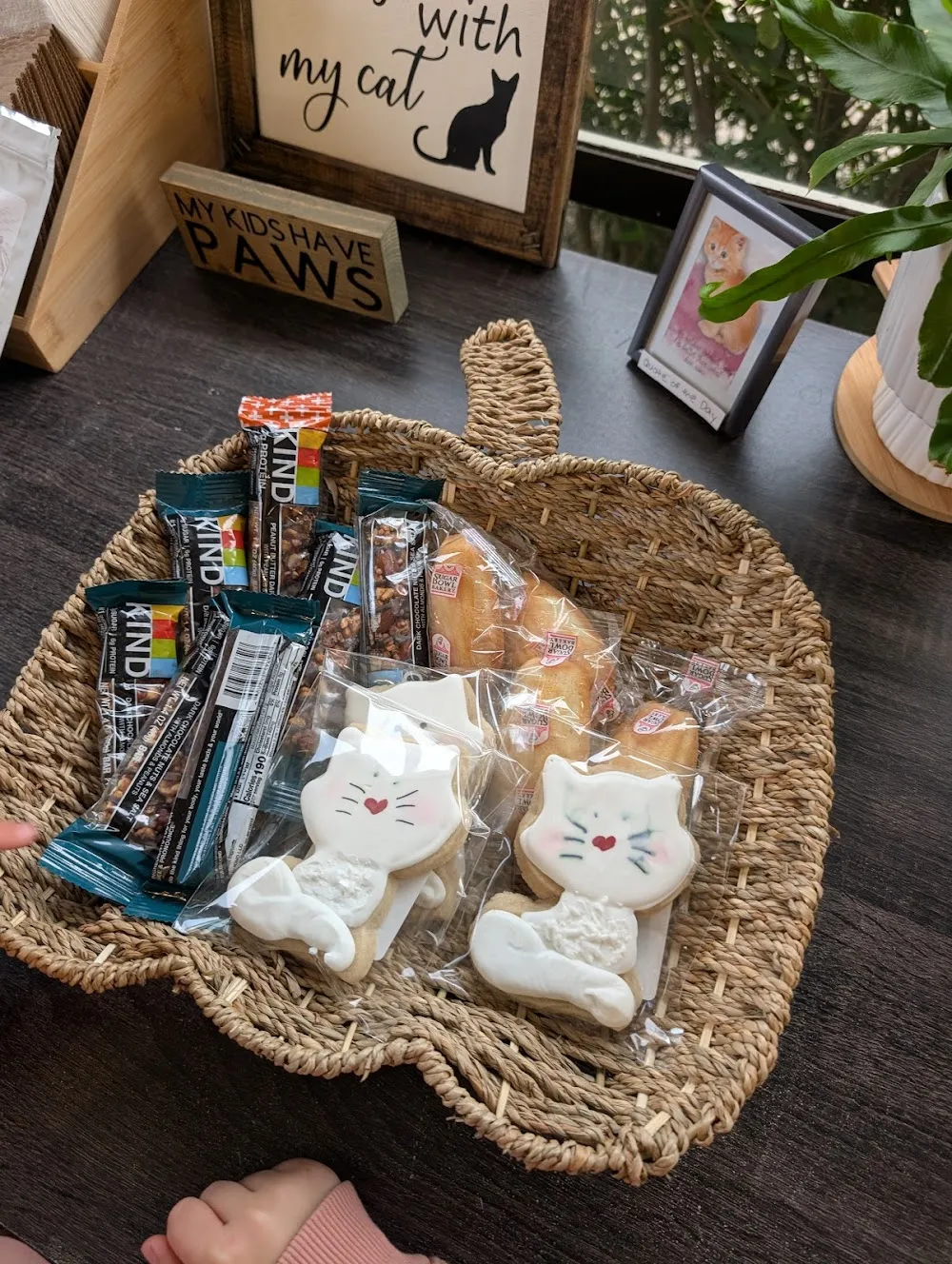 The Caffeinated Cat Cafe cat cafe in Grover Beach - cats