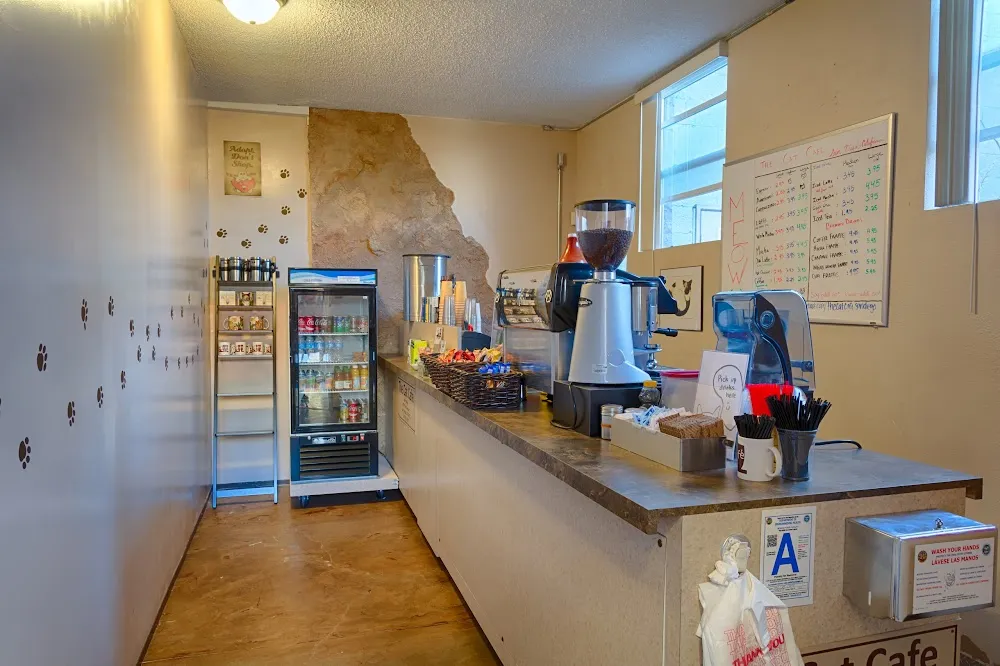 The Cat Cafe cat cafe in San Diego - interior