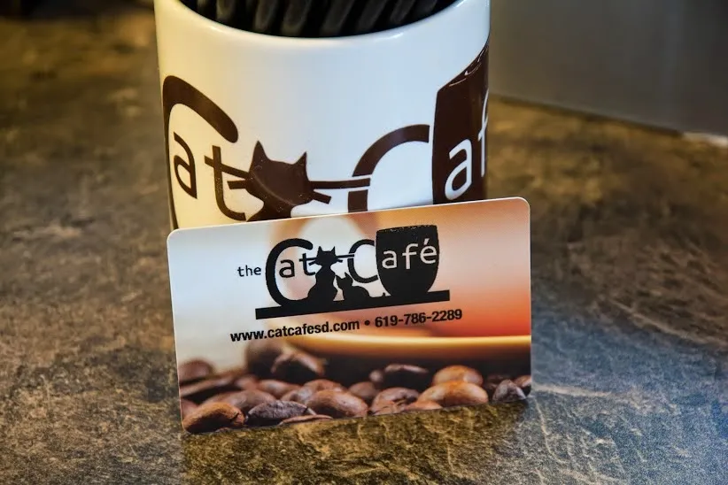 The Cat Cafe cat cafe in San Diego - cats