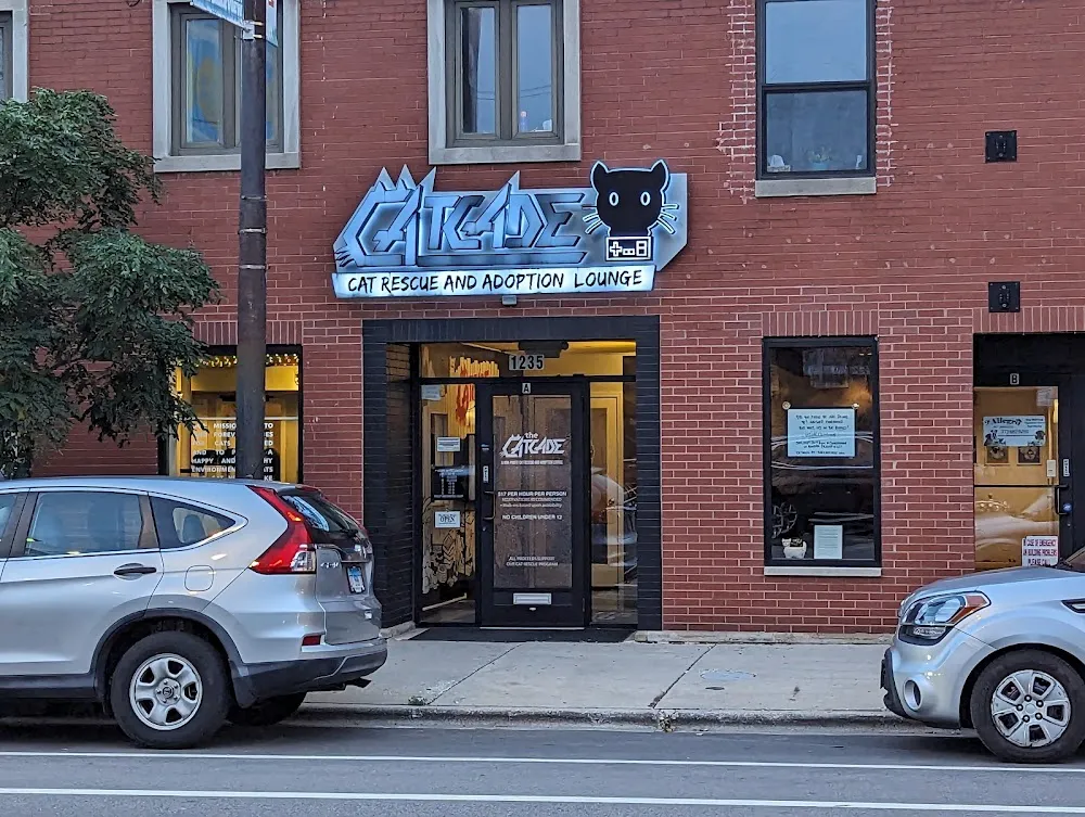 The Catcade - Cat Cafe & Rescue cat cafe in Chicago - interior