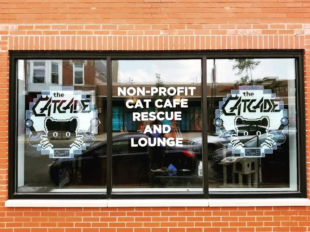 The Catcade - Cat Cafe & Rescue cat cafe in Chicago - atmosphere