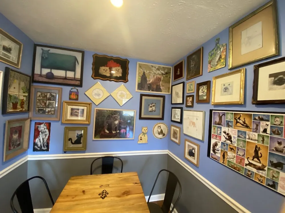 The Catfe cat cafe in Lawrenceville - interior