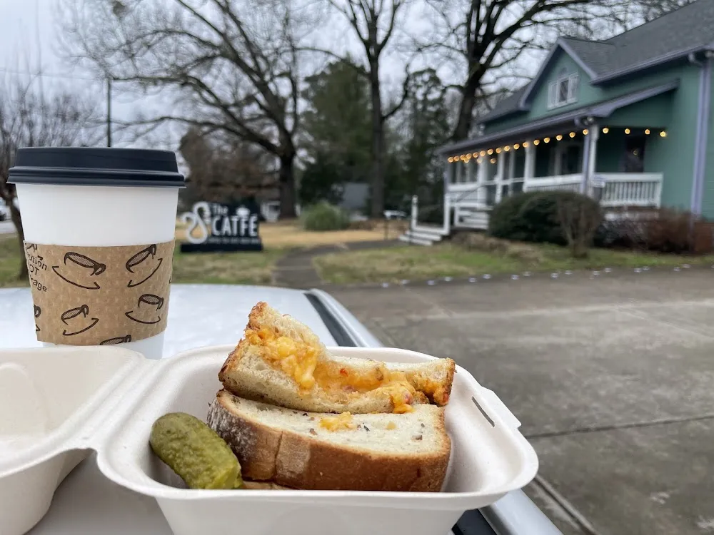 The Catfe cat cafe in Lawrenceville - cats