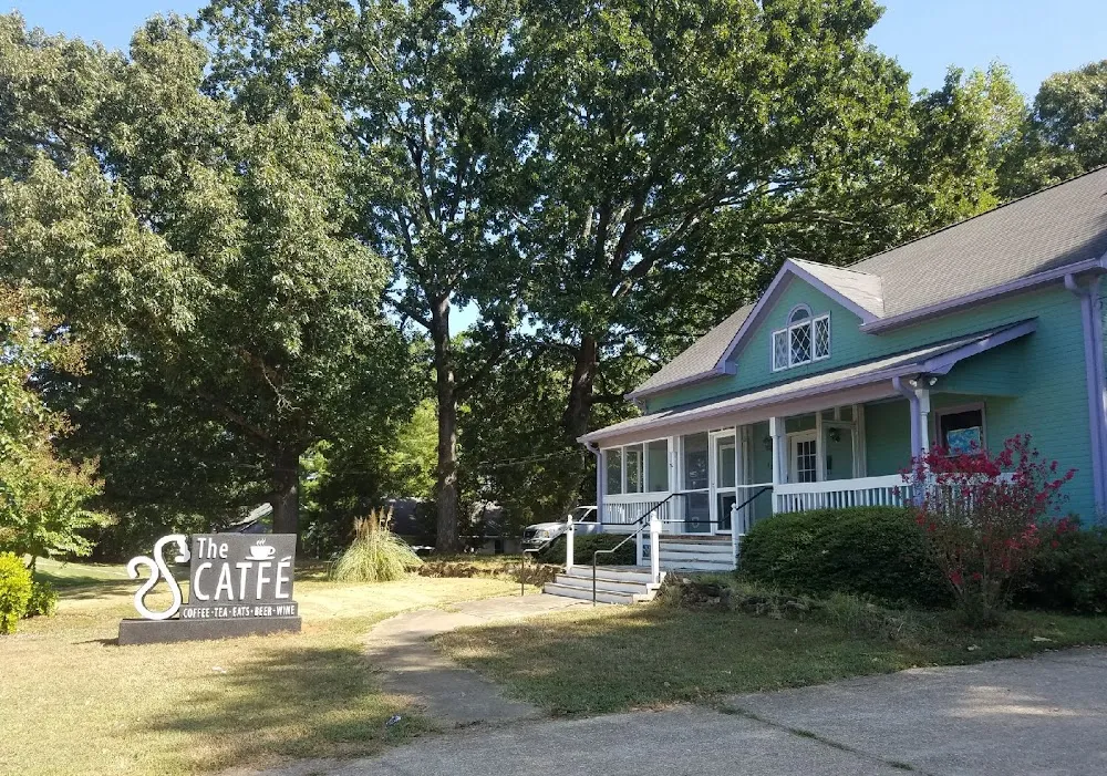 The Catfe cat cafe in Lawrenceville - atmosphere
